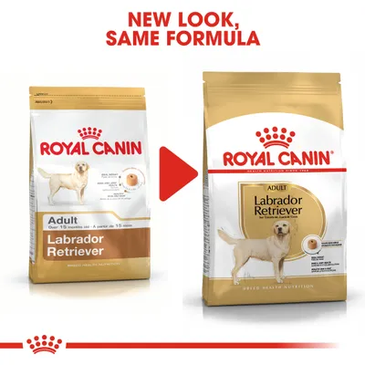 Royal Canin Labrador Retriever Adult dog food packaging, old and new designs side by side. Text above: New look, same formula.