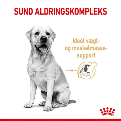SUND ALDRINGSKOMPLEKS. Ideel vægt- og muskelmassesupport. Illustration af hund med grafisk muskelikon. Rød krone nederst.