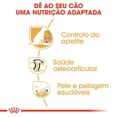 Dê ao seu cão uma nutrição adaptada: controlo do apetite, saúde osteoarticular, pele e pelagem saudáveis. Texto e ícones ilustrativos.