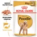 Royal Canin Poodle Adult