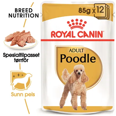 Royal Canin Poodle Adult