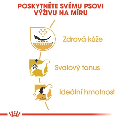 Poskytněte svému psovi výživu na míru: zdravá kůže, svalový tonus, ideální hmotnost. Tři ikony znázorňující jednotlivé benefity.