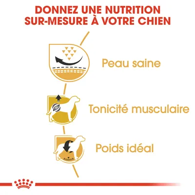 Donnez une nutrition sur-mesure à votre chien : Peau saine, Tonicité musculaire, Poids idéal. Texte en français belge.