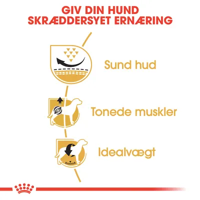 GIV DIN HUND SKRÆDDERSYET ERNÆRING. Sund hud, Tonede muskler, Idealvægt. Tre ikoner med hund og grafiske elementer ved siden af teksten.