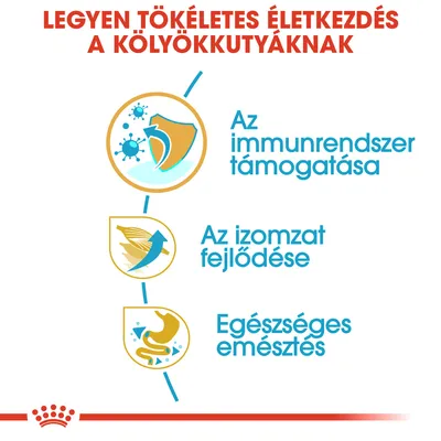 Legyen tökéletes életkezdés a kölyökkutyáknak. Az immunrendszer támogatása, az izomzat fejlődése, egészséges emésztés.