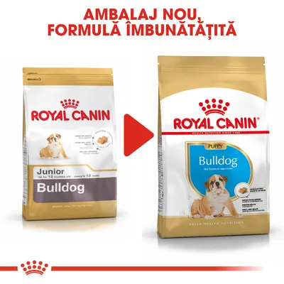 ROYAL CANIN Bulldog Junior ambalaj vechi și ROYAL CANIN Bulldog Puppy ambalaj nou. Text sus: AMBALAJ NOU, FORMULĂ ÎMBUNĂTĂȚITĂ. Imagine cu două pungi de hrană pentru câini Bulldog până la 12 luni.