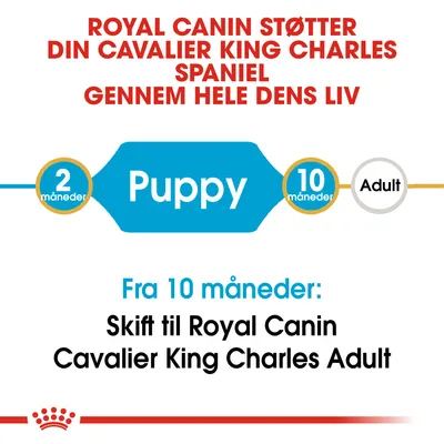 Royal Canin støtter din Cavalier King Charles Spaniel gennem hele dens liv. Puppy 2–10 måneder, Adult fra 10 måneder. Skift til Royal Canin Cavalier King Charles Adult fra 10 måneder.