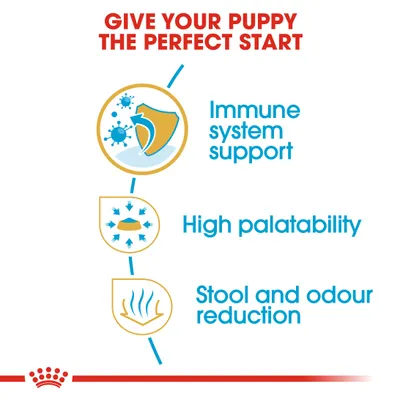 Key benefits shown: immune system support, high palatability, stool and odour reduction. Text reads 'Give your puppy the perfect start.'
