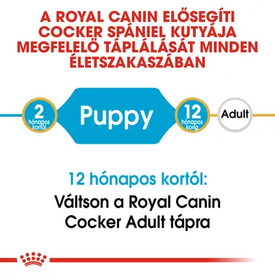 A Royal Canin elősegíti cocker spániel kutyája megfelelő táplálását minden életszakaszban. 2 hónapos kortól Puppy, 12 hónapos kortól váltson Cocker Adult tápra.