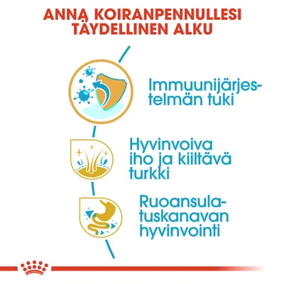 Anna koiranpennullesi täydellinen alku. Immuunijärjestelmän tuki, hyvinvoiva iho ja kiiltävä turkki, ruoansulatuskanavan hyvinvointi.
