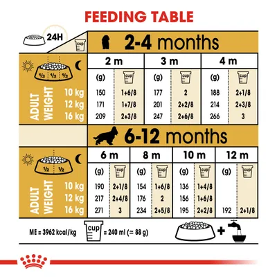 Feeding table showing daily food amounts in grams and cups for different adult weights and ages from 2 to 12 months. Includes cup size as 240ml equals 88g and energy value of 3962 kcal/kg.