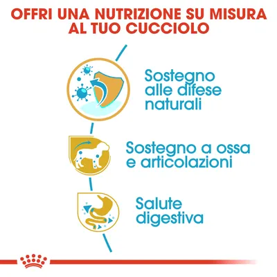 Offri una nutrizione su misura al tuo cucciolo. Sostegno alle difese naturali, sostegno a ossa e articolazioni, salute digestiva.