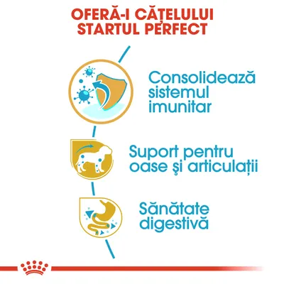 Oferă-i cățelului startul perfect: consolidează sistemul imunitar, suport pentru oase și articulații, sănătate digestivă. Text și pictograme explicative.