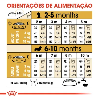 Tabela de orientações de alimentação para cães por peso adulto (3, 6, 10 kg) e idade (2–10 meses), com doses diárias em gramas e chávenas. Inclui equivalência: 1 cup = 240 ml ≈ 86 g.