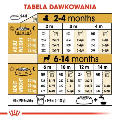 Tabela dawkowania karmy dla szczeniąt: ilości w gramach i kubkach dla wag 20, 26, 32 kg na etapy 2–4 oraz 6–14 miesięcy. Kubek = 240 ml (≈105 g). ME = 3788 kcal/kg.