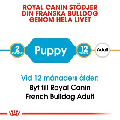 Royal Canin stödjer din franska bulldog genom hela livet. Puppy 2–12 månader. Vid 12 månaders ålder: Byt till Royal Canin French Bulldog Adult.