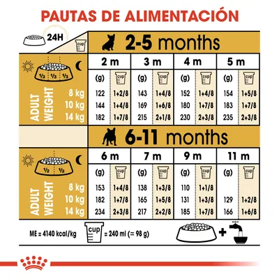 Pautas de alimentación para cachorros según peso adulto (8, 10, 14 kg) y edad (2–11 meses), cantidades en gramos y tazas. 1 taza = 240 ml (≈98 g). ME=4140 kcal/kg.