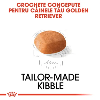 CROCHETE CONCEPTE PENTRU CÂINELE TĂU GOLDEN RETRIEVER. Tailor-made kibble. Imagine cu o croșetă și schiță de 1 cm.