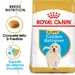 Royal Canin Golden Retriever Puppy