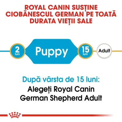 ROYAL CANIN susține ciobănescul german pe toată durata vieții sale. După vârsta de 15 luni: Alegeți Royal Canin German Shepherd Adult. Puppy 2 luni–15 luni, Adult.