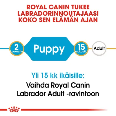 Royal Canin tukee labradorinnoutajaasi koko elämän ajan. 2–15 kuukautta: Puppy. Yli 15 kk ikäisille: Vaihda Royal Canin Labrador Adult -ravintoon.