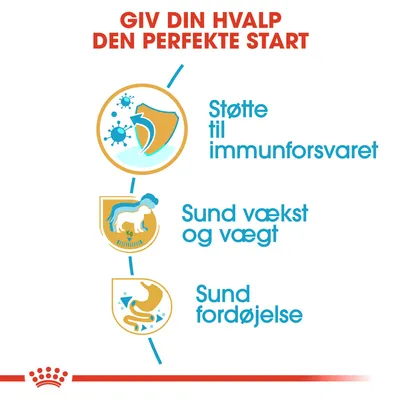 GIV DIN HVALP DEN PERFEKTE START. Støtte til immunforsvaret. Sund vækst og vægt. Sund fordøjelse.