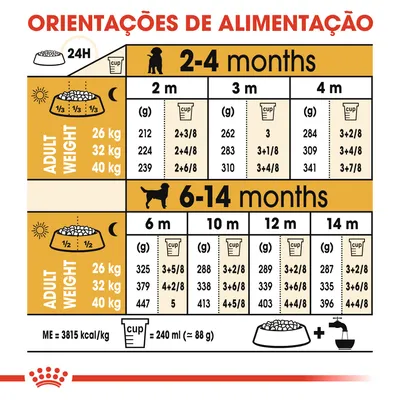 Orientações de alimentação para cães: doses diárias em gramas e chávenas por peso adulto (26, 32, 40 kg) dos 2 aos 14 meses. 1 chávena = 240 ml (≈88 g). ME = 3815 kcal/kg.