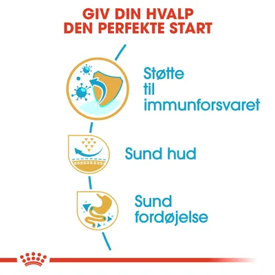 Royal Canin Pug Puppy