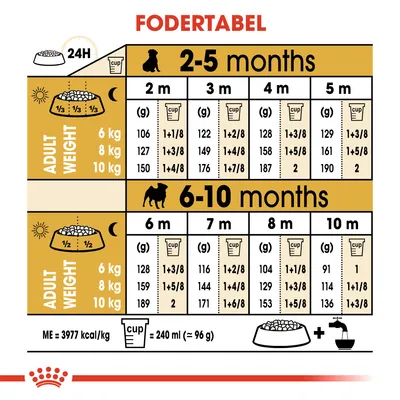 Fodertabel for hundehvalpe 2–10 måneder, opdelt efter voksenvægt (6, 8, 10 kg) og alder. Viser daglige fodermængder i gram og kopper. 1 kop = 240 ml (ca. 96 g).