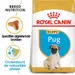 Royal Canin Pug Puppy - Hondenvoer