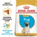 Royal Canin Pug Puppy
