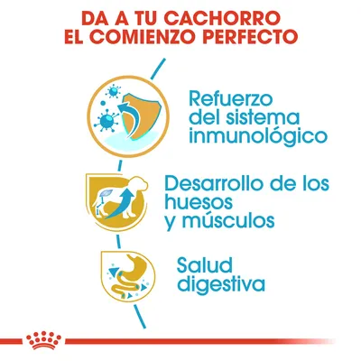 Da a tu cachorro el comienzo perfecto. Refuerzo del sistema inmunológico, desarrollo de los huesos y músculos, salud digestiva.