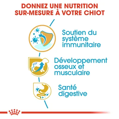 Donnez une nutrition sur-mesure à votre chiot : soutien du système immunitaire, développement osseux et musculaire, santé digestive.