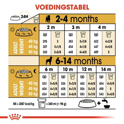Voedingstabel voor honden: dagelijkse hoeveelheid voer in grammen en cups per leeftijd (2–14 maanden) en volwassen gewicht (40, 45, 50 kg). 1 cup = 240 ml (≈98 g), ME = 3857 kcal/kg.