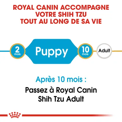 Royal Canin accompagne votre Shih Tzu tout au long de sa vie. Puppy 2–10 mois, après 10 mois passez à Royal Canin Shih Tzu Adult.