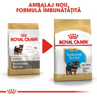 Royal Canin Yorkshire Terrier Junior – ambalaj vechi și nou, text vizibil: „AMABALAJ NOU, FORMULĂ ÎMBUNĂTĂȚITĂ”, Puppy până la 10 luni, imagine pui Yorkshire Terrier pe ambele ambalaje.