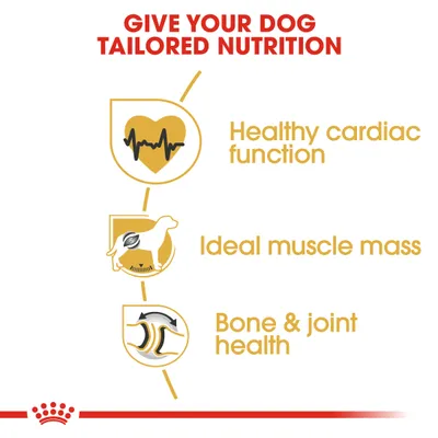 GIVE YOUR DOG TAILORED NUTRITION. Healthy cardiac function. Ideal muscle mass. Bone & joint health. Το κείμενο είναι στα αγγλικά.