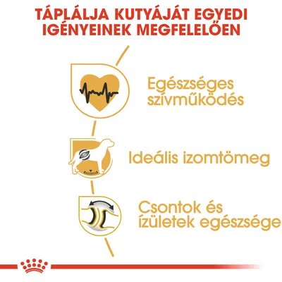 Táplálja kutyáját egyedi igényeinek megfelelően. Egészséges szívműködés, ideális izomtömeg, csontok és ízületek egészsége – látható ikonokkal.