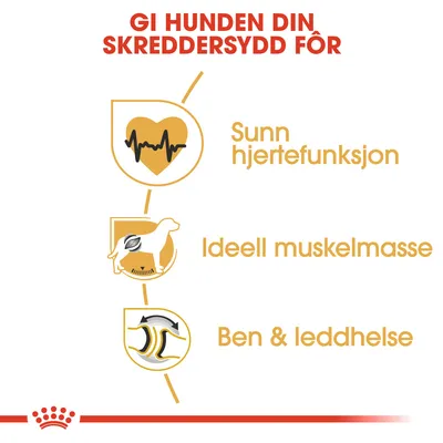 Royal Canin Rottweiler Adult