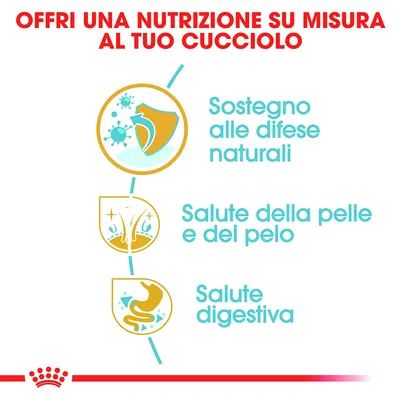 Offri una nutrizione su misura al tuo cucciolo: sostegno alle difese naturali, salute della pelle e del pelo, salute digestiva.