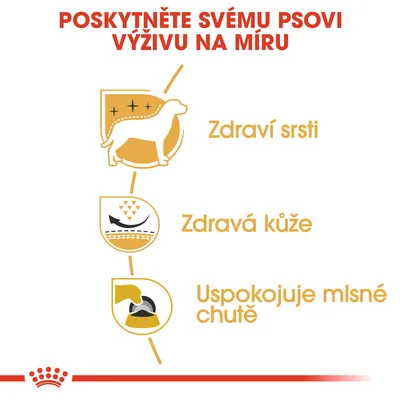 Poskytněte svému psovi výživu na míru: zdraví srsti, zdravá kůže, uspokojuje mlsné chutě. Tři ikony znázorňující psa, kůži a krmení.