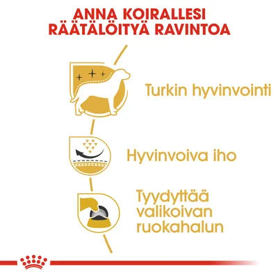 Anna koirallesi räätälöityä ravintoa: turkin hyvinvointi, hyvinvoiva iho, tyydyttää valikoivan ruokahalun. Teksti ja kolme kuvaketta koiran hyvinvoinnista.