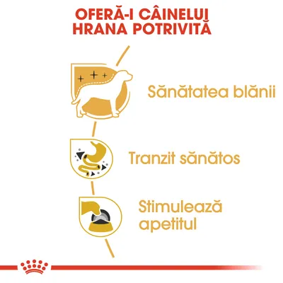 OFERĂ-I CÂINELUI HRANA POTRIVITĂ. Sănătatea blănii, Tranzit sănătos, Stimulează apetitul – beneficii prezentate pentru hrana de câini.