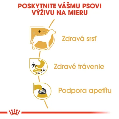 Poskytnite vášmu psovi výživu na mieru: zdravá srsť, zdravé trávenie, podpora apetítu. Tri ikony znázorňujúce tieto benefity.