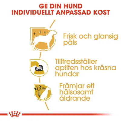 Ge din hund individuellt anpassad kost. Frisk och glansig päls. Tillfredsställer aptiten hos kräsna hundar. Främjar ett hälsosamt åldrande.