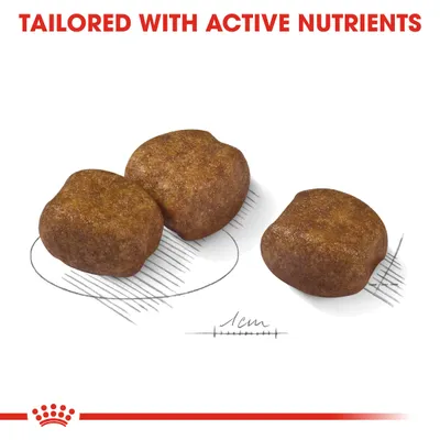 Three pieces of brown kibble beside a 1 cm scale, with red text above: TAILORED WITH ACTIVE NUTRIENTS