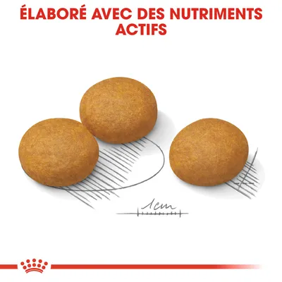 Trois croquettes rondes, diamètre indiqué 1 cm, texte visible : « Élaboré avec des nutriments actifs » en haut de l’image.