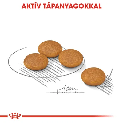 Négy kerek táp szemcsék, alatta 1 cm-es méretjelzés. Felül piros szöveg: AKTÍV TÁPANYAGOKKAL.