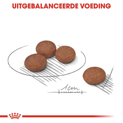 Vier ronde brokken met diameter van circa 1 cm, tekst bovenaan: 'UITGEBALANCEERDE VOEDING'.