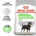 Royal Canin Mini Digestive Care